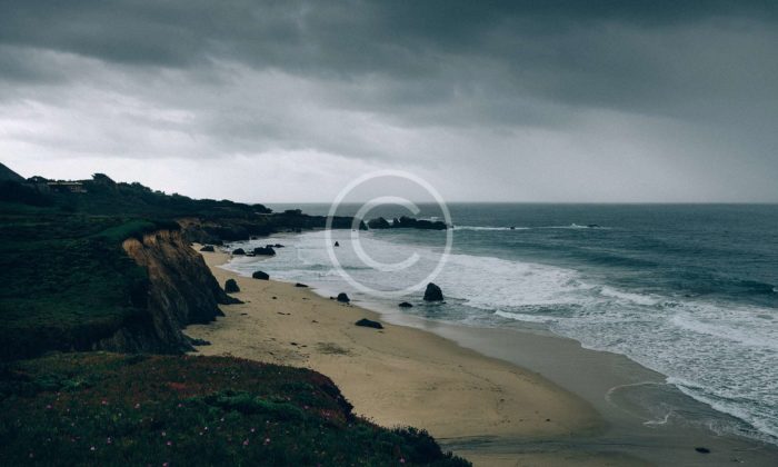 New Post With Image